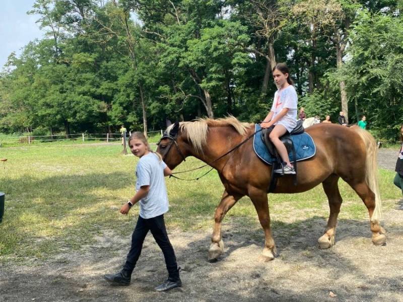 0d55b497-1570-467f-87b5-ce7f8f40a7f2-ekf2u3tebv (1).jpeg